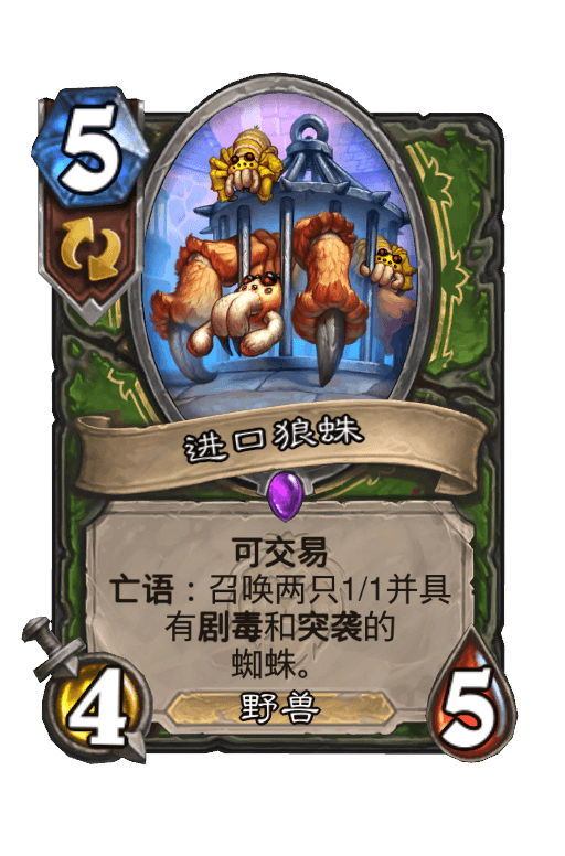 进口狼蛛