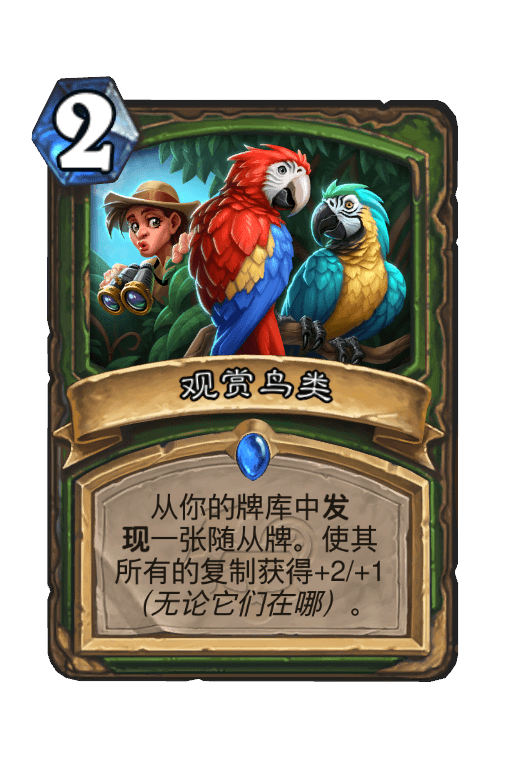 观赏鸟类